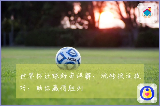 世界杯让球赔率详解，玩转投注技巧，助你赢得胜利