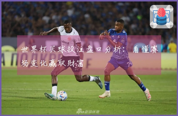 世界杯买球投注盘口分析：看懂赛场变化赢取财富