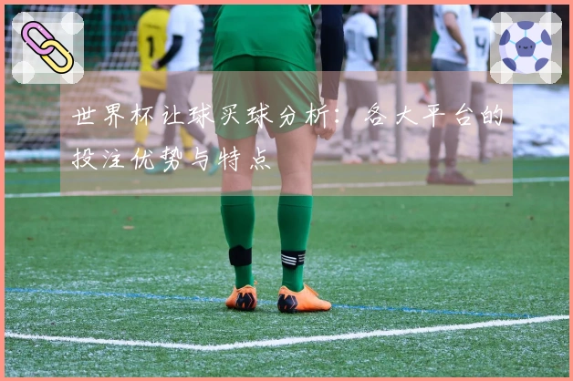 世界杯让球买球分析：各大平台的投注优势与特点