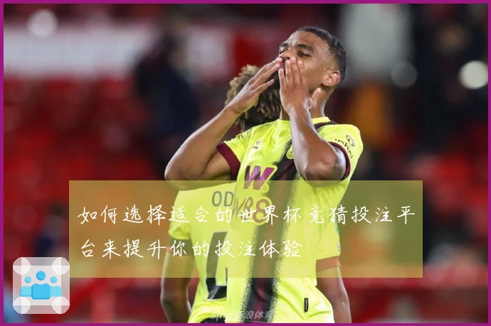 如何选择适合的世界杯竞猜投注平台来提升你的投注体验