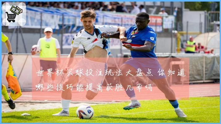 世界杯买球投注玩法大盘点 你知道哪些技巧能提高获胜几率吗