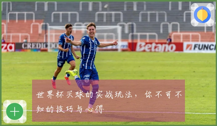世界杯买球的实战玩法，你不可不知的技巧与心得