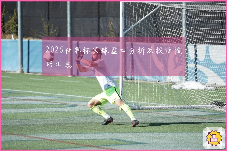 2026世界杯买球盘口分析及投注技巧汇总