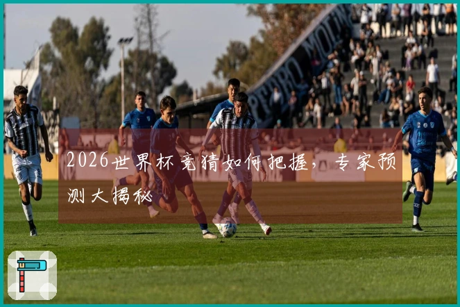 2026世界杯竞猜如何把握，专家预测大揭秘