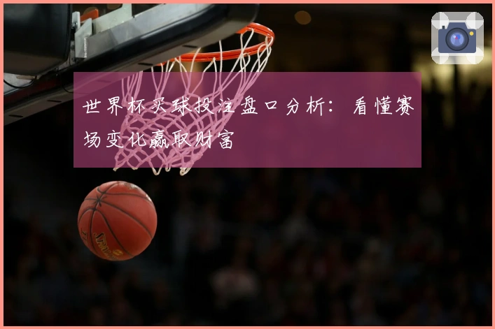 世界杯买球投注盘口分析：看懂赛场变化赢取财富