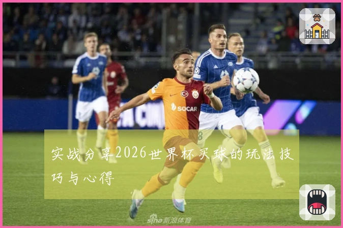 实战分享2026世界杯买球的玩法技巧与心得