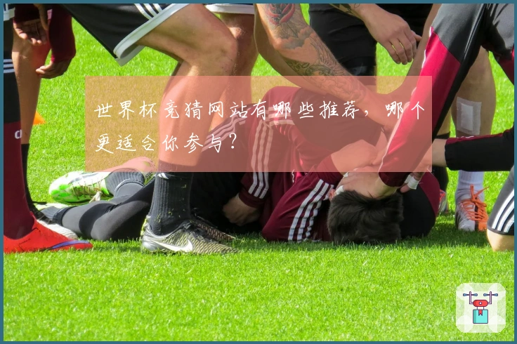 世界杯竞猜网站有哪些推荐，哪个更适合你参与？