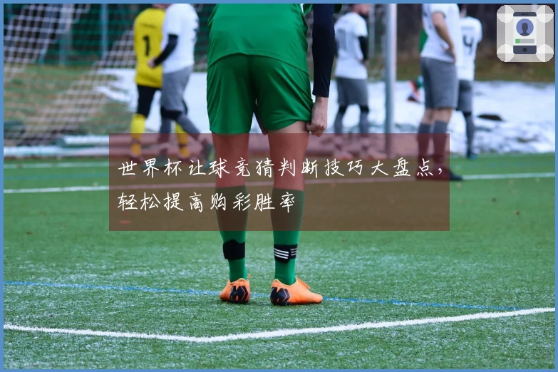 世界杯让球竞猜判断技巧大盘点，轻松提高购彩胜率