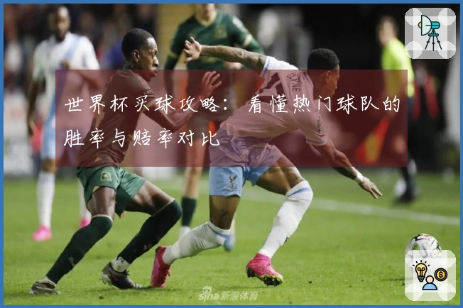 世界杯买球攻略：看懂热门球队的胜率与赔率对比
