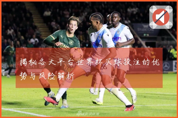 揭秘各大平台世界杯买球投注的优势与风险解析