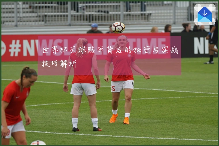 世界杯买球赔率背后的秘密与实战技巧解析