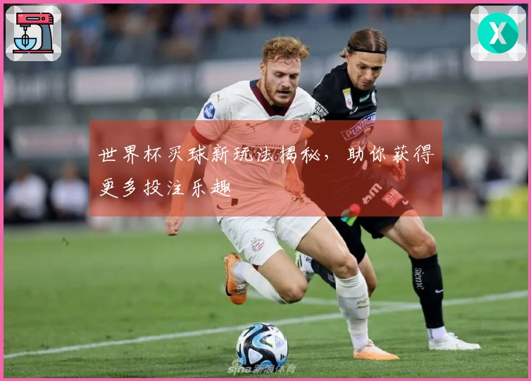 世界杯买球新玩法揭秘，助你获得更多投注乐趣